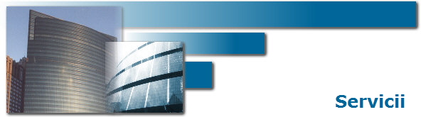 Servicii
